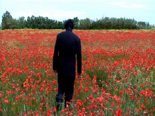 13 AMAN4AMAN frame 020