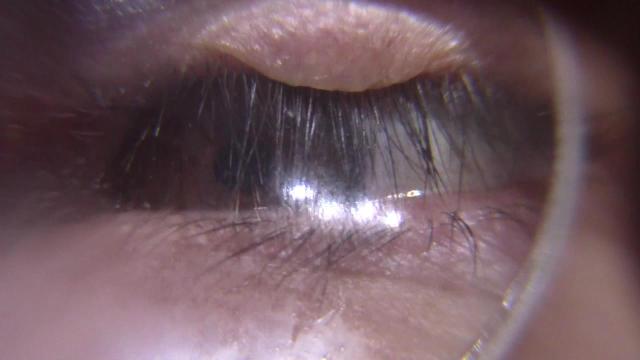 37 DR NEGAZIONE 009