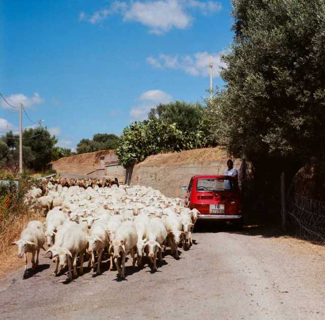La Visita