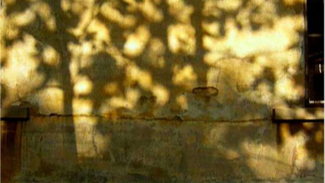 L’amore fermo