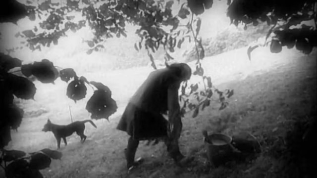 Olga e il tempo - 1