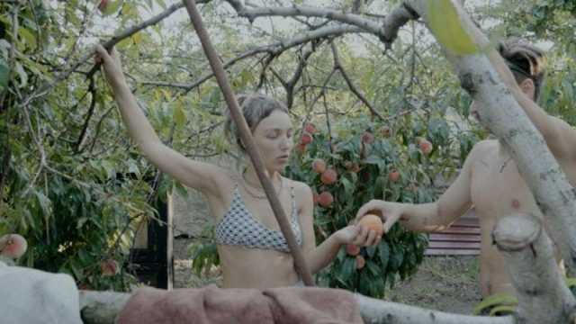 Three Summers 6